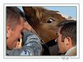 Kerien_18_10_08 n06